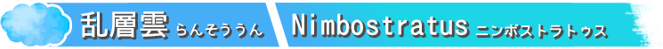 乱層雲らんそううん Nimbostratusニンボストラトゥス