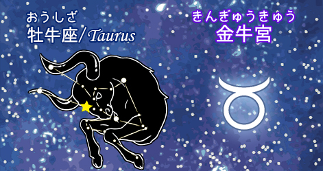 牡牛座/taurus/金牛宮