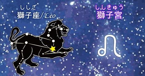 獅子座/leo/獅子宮