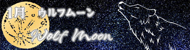Wolf Moon／ウルフムーン